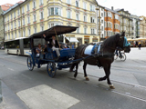 Jahresausflug 2010 - Donauschwaben Backnang