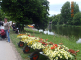 Tagesausflug zur Gartenschau Sigmaringen 2013 - Donauschwaben Backnang