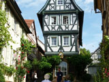 Tagesausflug 2015